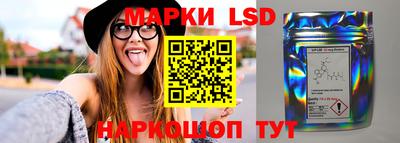 прущий лед Будённовск