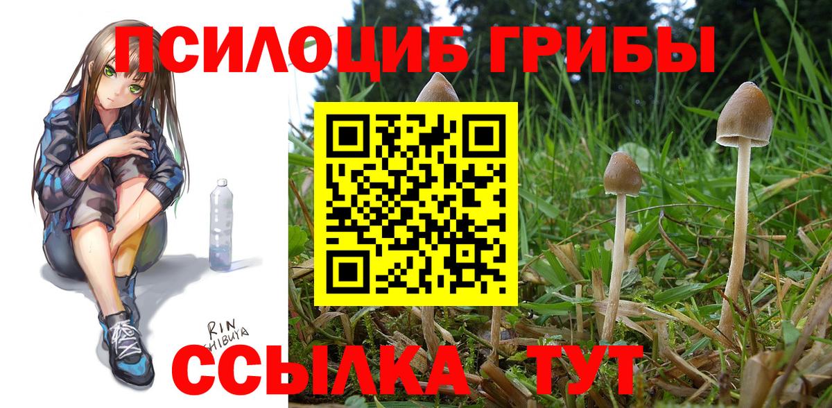 Псилоцибиновые грибы Magic Shrooms  Галлюциногенные грибы Magic Shrooms  Вход с VPN  Кинешма 